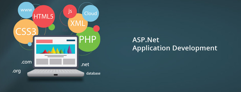 asp net application development